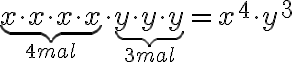 \underbrace{x\cdot x\cdot x\cdot x}_{4 mal}\cdot\underbrace{y\cdot y\cdot y}_{3 mal} = x^4\cdot y^3\quad