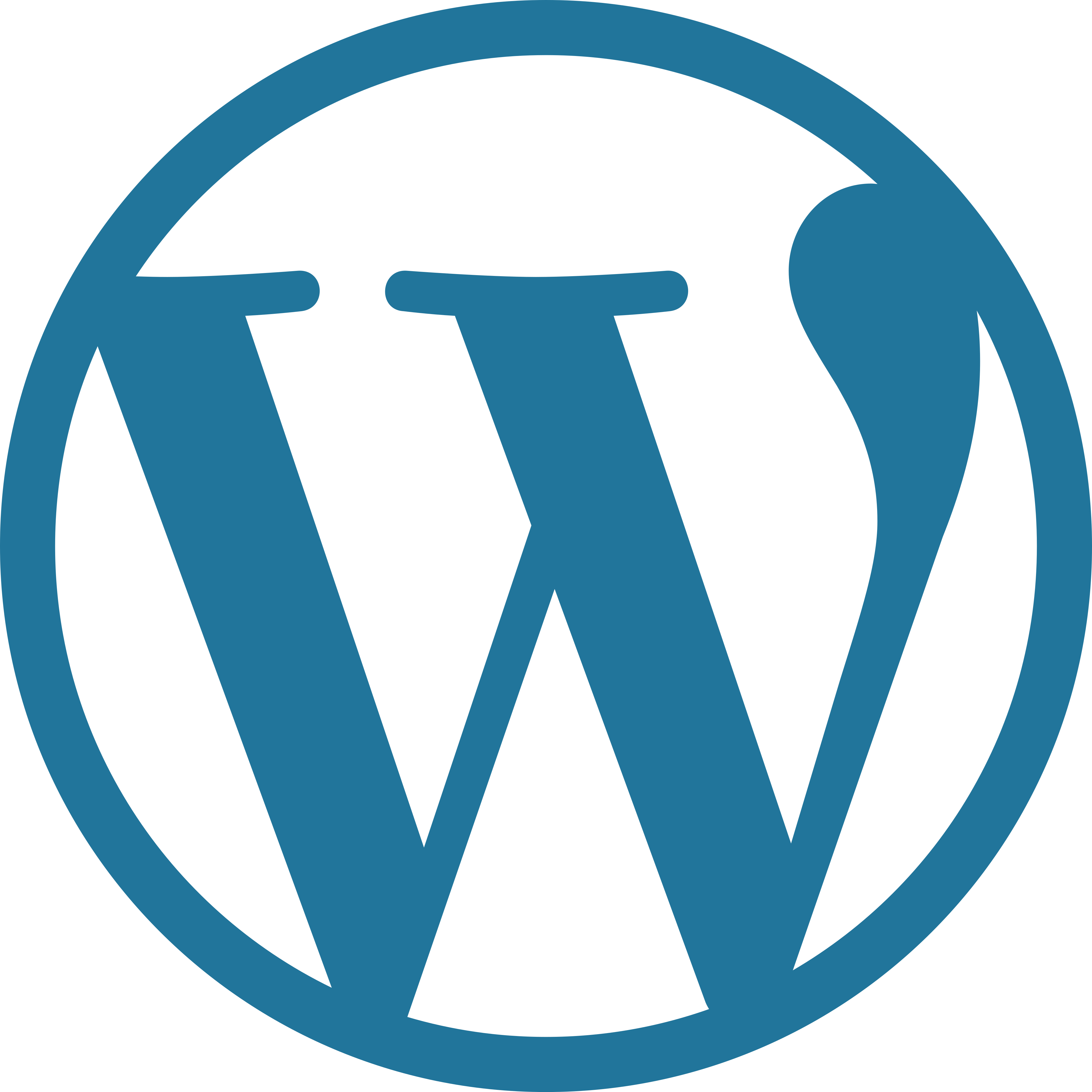 Logo Wordpress