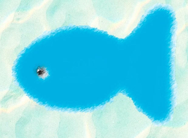 Anhang fisch3.jpg