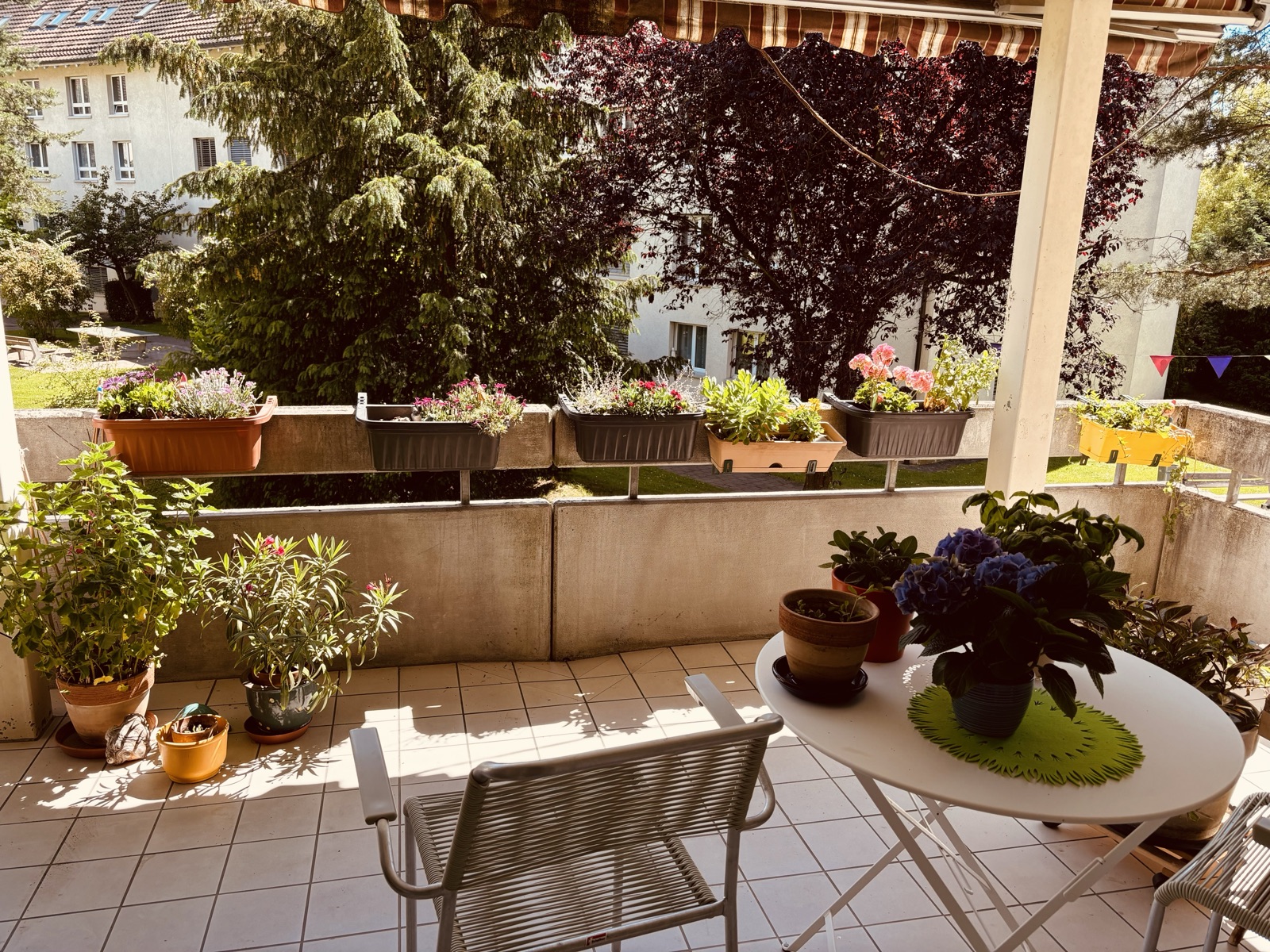 Balkon